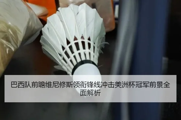 巴西队前瞻维尼修斯领衔锋线冲击美洲杯冠军前景全面解析