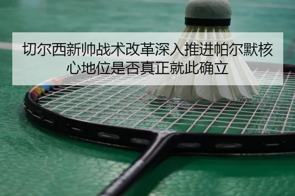 切尔西新帅战术改革深入推进帕尔默核心地位是否真正就此确立